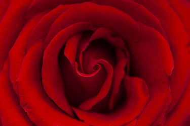 Similar image 21194856