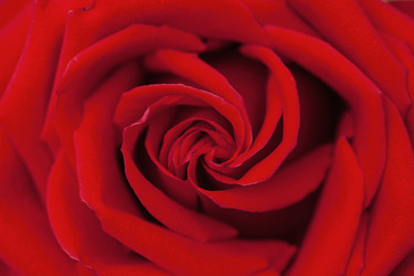 Similar image 21194857