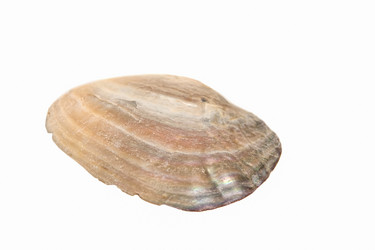 Similar image 21192194