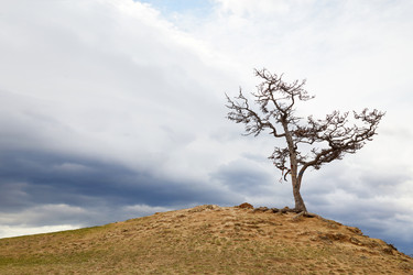 Similar image 21192537