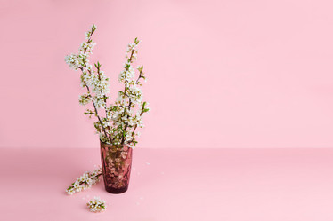 Similar image 21192113