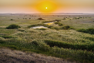 Similar image 21193461