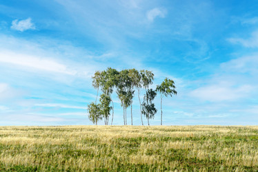 Similar image 21193663