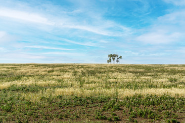 Similar image 21193667