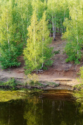 Similar image 21193670