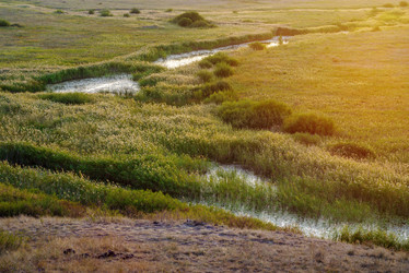 Similar image 21193675