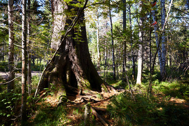 Similar image 21192023