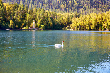 Similar image 21192054