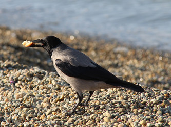 Similar image 21196245