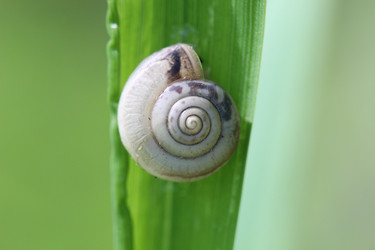 Similar image 21196246