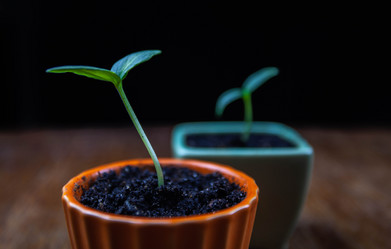 Similar image 21194289