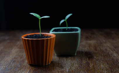 Similar image 21194291