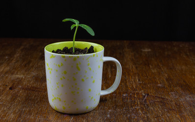 Similar image 21194294