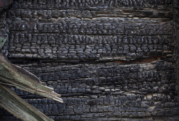 Similar image 21194305