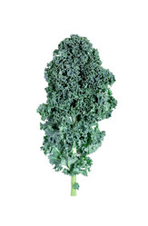 Similar image 21196492