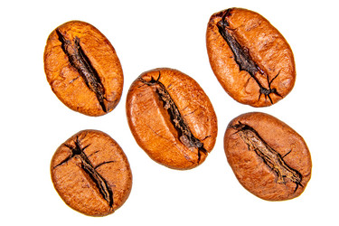 Similar image 21194316