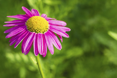 Similar image 21195100