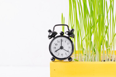 Similar image 21196615