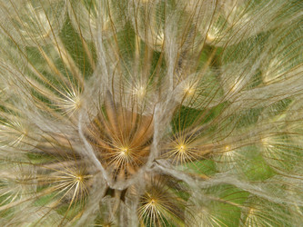 Similar image 21195115