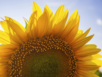 Similar image 21195117