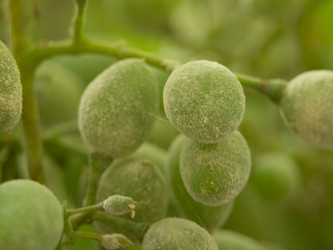 Similar image 21195118