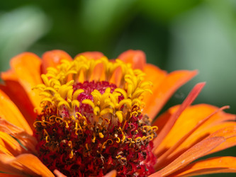 Similar image 21195119