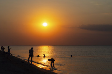 Similar image 21195120