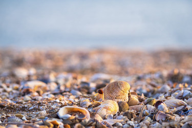 Similar image 21195121