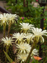 Similar image 21195122