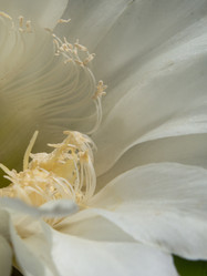 Similar image 21195124