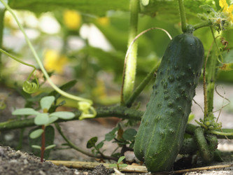 Similar image 21195125