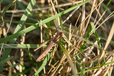 Similar image 21192544