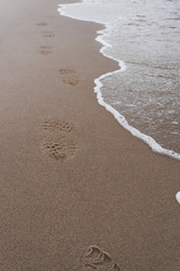 Similar image 21198303