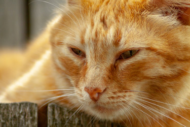 Similar image 21196247