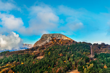 Similar image 21195312