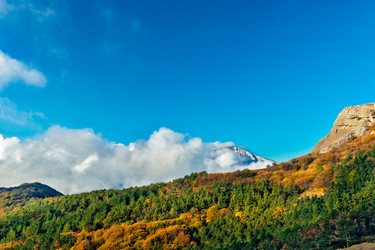 Similar image 21195313