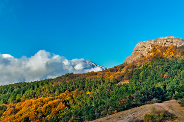 Similar image 21195314