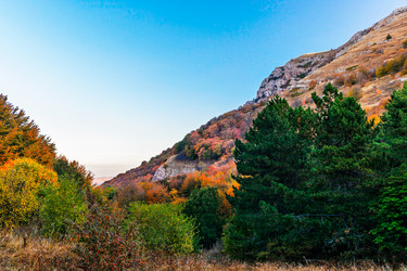 Similar image 21195316