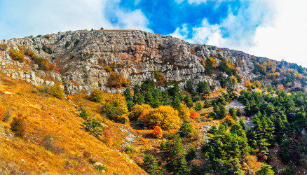 Similar image 21195319