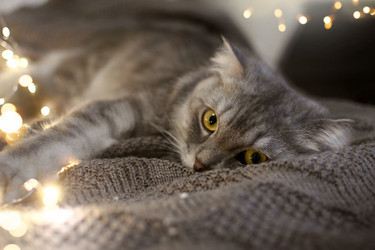 Similar image 21196249