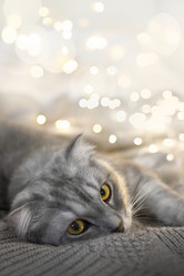 Similar image 21196251