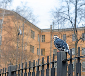 Similar image 21198311