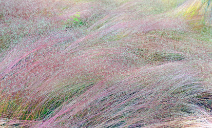 Similar image 21198312