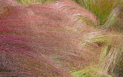 Similar image 21198314