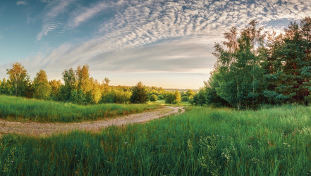 Similar image 21196253