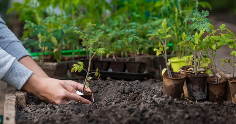 Similar image 21199660