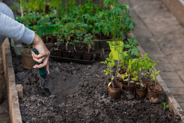 Similar image 21199661