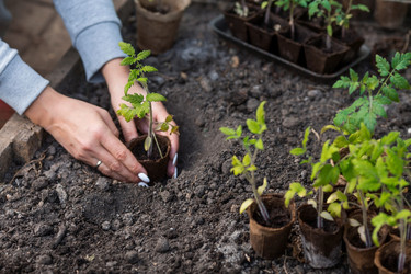 Similar image 21199662