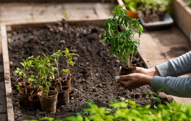 Similar image 21199663