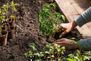 Similar image 21199664